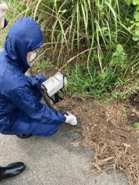 Fukushima radioactive particle release was significant says new research – EurekAlert Fukushima radioactive particle release was significant says new research – EurekAlert