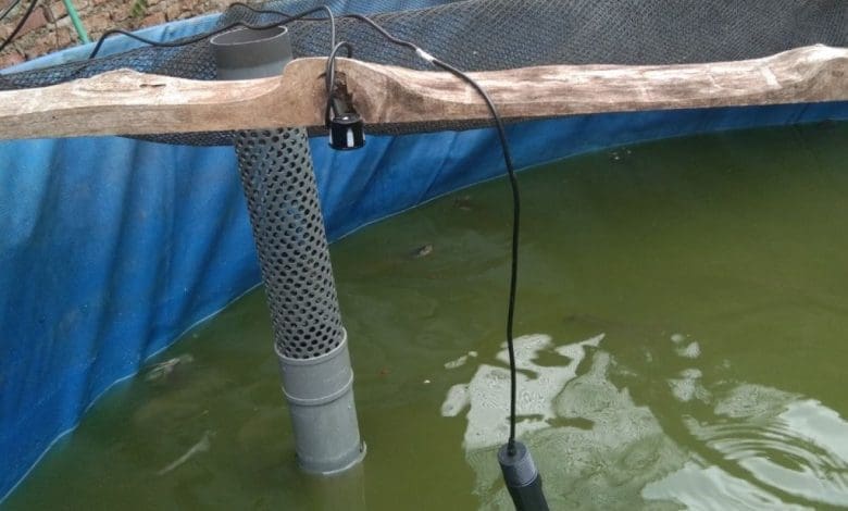 Dapat pelatihan, pembudi daya lele Mojokerto pantau kolam gunakan teknologi "IoT" – ANTARA Jawa Timur Dapat pelatihan, pembudi daya lele Mojokerto pantau kolam gunakan teknologi "IoT" – ANTARA Jawa Timur