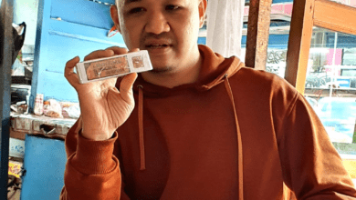 Inilah Langkitang Signal, Diracik Alumni Telkom University – Scientia Berita Inilah Langkitang Signal, Diracik Alumni Telkom University – Scientia Berita