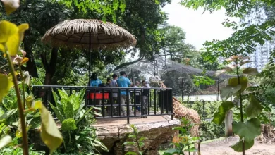 Pengunjung Kebun Binatang Bandung Membludak, Tertinggi Semenjak Pandemi – Ayo Bandung – Ayo Bandung