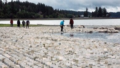 Jumlah Mahasiswa di Jakarta Turun, PTS Minta Dukungan untuk Bertahan – TEMPO.co