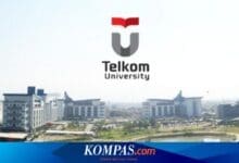 Creative Arts hingga Sains Data