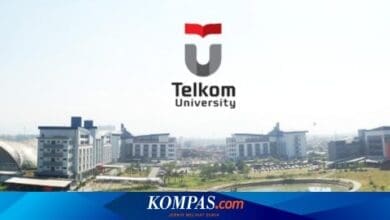 Creative Arts hingga Sains Data