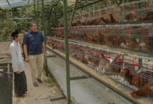 Teknologi IoT Telkom University Bantu Ketahanan Pangan Panti Asuhan di Malang